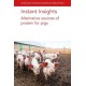 Instant Insights: Alternative Sources of Protein for Pigs