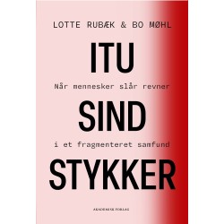 I tusind stykker: Når mennesker slår revner i et fragmenteret samfund
