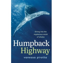 Humpback Highway: Diving Into the Mysterious World of Whales