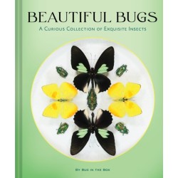 Beautiful Bugs: A Curious Collection of Exquisite Insects