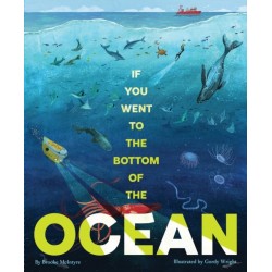 If You Went to the Bottom of the Ocean