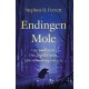 Endingen Mole