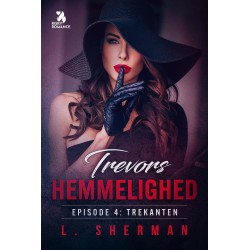 Trevors hemmelighed 4 - Trekanten