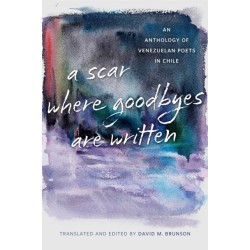A Scar Where Goodbyes Are Written: An Anthology of Venezuelan Poets in Chile