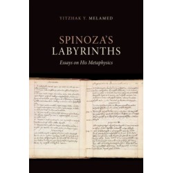 Spinoza's Labyrinths: Essays on His Metaphysics