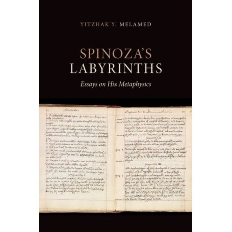 Spinoza's Labyrinths: Essays on His Metaphysics