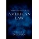 A Concise History of American Law
