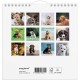 Mayland: Vægkalender mini Hundehvalpe 2026