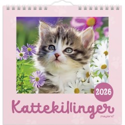 Mayland: Vægkalender mini Kattekillinger 2026