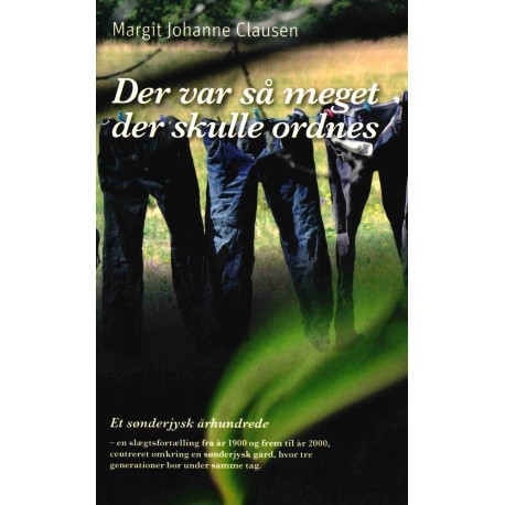 Der var så meget der skulle ordnes: Et sønderjysk århundrede