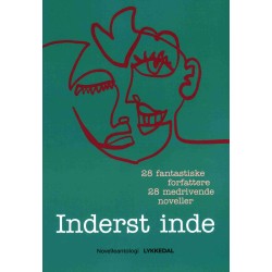 Inderst inde: 28 medrivende noveller