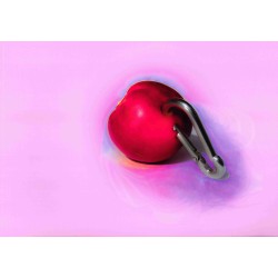 Never Run Faster Than Your Guardian Angel Can Fly