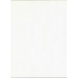 Yoko Ono, Golden Ladders: A voice of a Woman