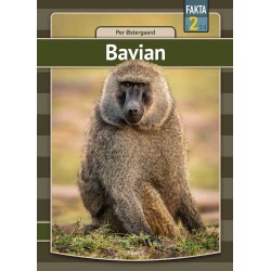 Bavian