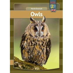 Owls