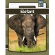 Elefant