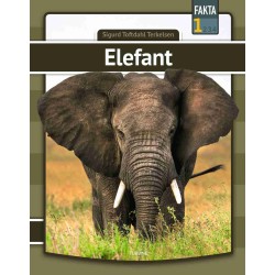 Elefant