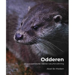 Odderen
