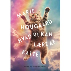 Hvad vi kan lære af katte