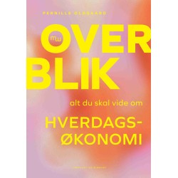 Overblik: Alt, du skal vide om hverdagsøkonomi
