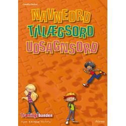 Navneord, tillægsord, udsagnsord