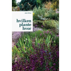 Hvilken plante hvor