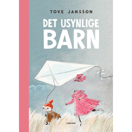 Det usynlige barn: og andre historier