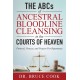 THE ABCs OF ANCESTRAL BLOODLINE CLEANSING: PROTOCOL, PROCESS, AND PRAYERS FOR REPENTANCE IN THE COURTS OF HEAVEN
