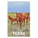 Insight Guide Texas