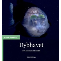 Dybhavet