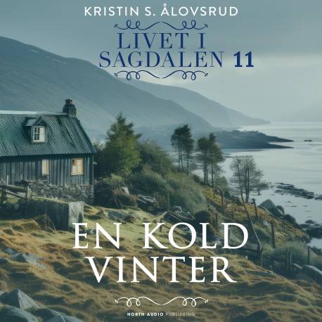 En kold vinter