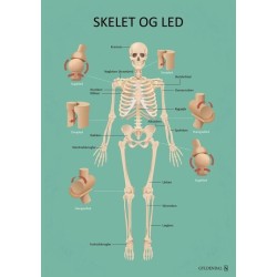 Kroppen: Plakatsamling