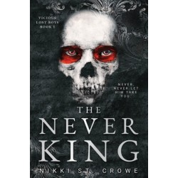 The Never King (Vicious Lost Boys 1): A Peter Pan Dark Romance