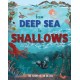 From Deep Sea to Shallows: The Story of Oceans