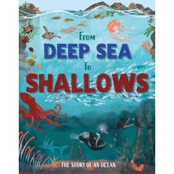 From Deep Sea to Shallows: The Story of Oceans
