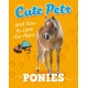 Cute Pets! And How to Care For Them: Ponies