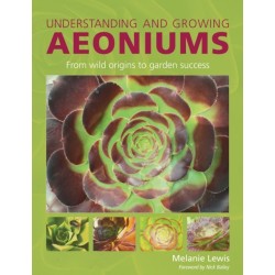 Understanding and Growing Aeoniums: From wild origins to garden success