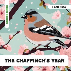 The Chaffinch's Year: Decodable Phonics Reader (Ages 5-7)