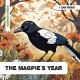 The Magpie's Year: Decodable Phonics Reader (Ages 5-7)