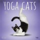 Yoga Cats 2026 Square Flap Calendar