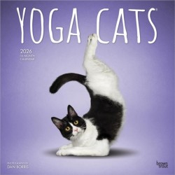 Yoga Cats 2026 Square Flap Calendar