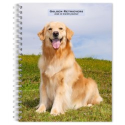 Golden Retrievers 2026 Engagement Diary