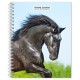 Horse Lovers 2026 Engagement Diary