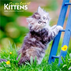 Kittens, For the Love of 2026 Mini 7x7 Calendar