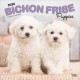 Bichon Frise Puppies 2026 12 x 24 Monthly Square Calendar