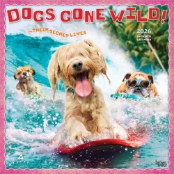 Avanti Dogs Gone Wild 2026 Square Flap Calendar