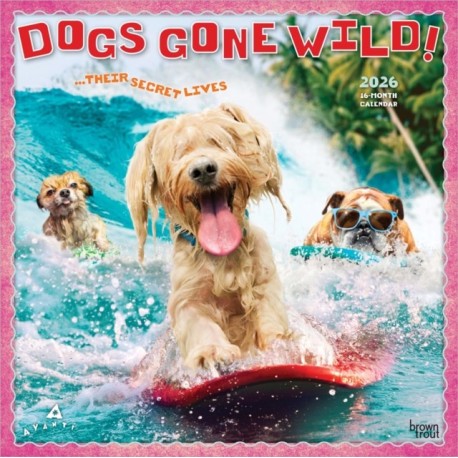 Avanti Dogs Gone Wild 2026 Square Flap Calendar