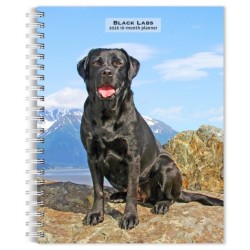 Labrador Retrievers, Black 2026 Engagement Diary