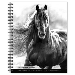 Horse, The Noble, The BrownTrout Portrait Series 2026 Engagement Diary