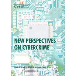 New Perspectives on Cybercrime